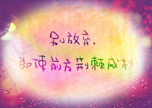 写给傻傻的自己一句话,别放弃要坚强!
