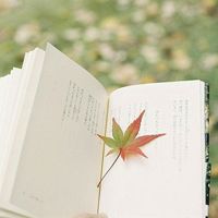 阳光大气一点的微信风景头像