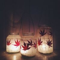 瓶子微信头像图片大全