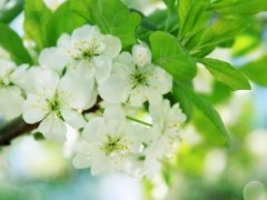 亲情感慨的句子,你能悟透多少?