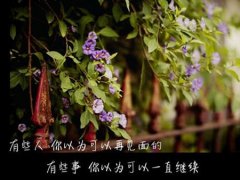 那些掏心窝的伤心句子，看完忍不住流泪！