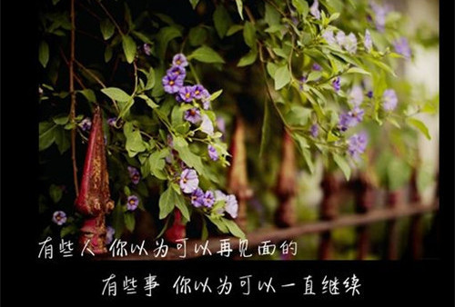 那些掏心窝的伤心句子,看完忍不住流泪!