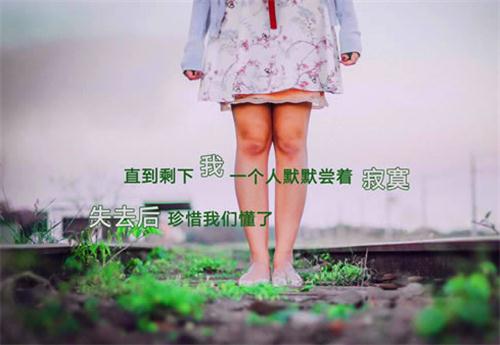 那些掏心窝的伤心句子,看完忍不住流泪!