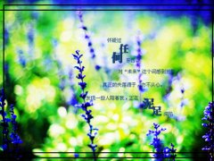 富有哲理且有趣的句子,看似简单却很有深度!