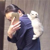 女生呆萌手机控头像，甜甜的梦都给你！