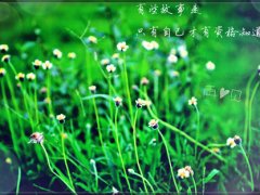 适合发朋友圈的扎心句子,句句戳心窝!