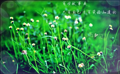 适合发朋友圈的扎心句子,句句戳心窝!