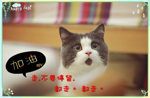 搞笑简短的朋友圈句子，挑一句喜欢的收藏吧！