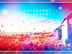 最接地气暖人心的句子,值得你一读再读!