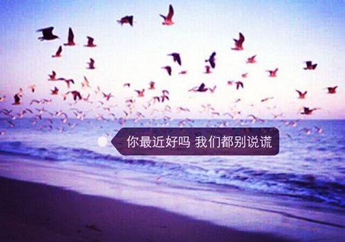 茫茫人海中相遇的说说