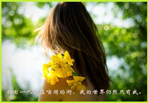 精美的有内涵的句子,充满哲理,给人启迪!