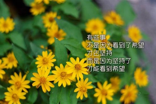 感慨生活的正能量句子,简直太经典了!
