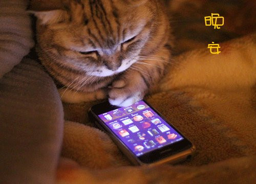 晚安心灵鸡汤句子,让人忍不住想分享!