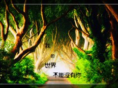 伤心心凉的说说心情 人心凉了的伤感说说