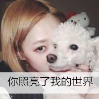 女生抱着狗头像