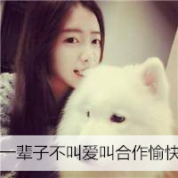 女生抱着狗头像