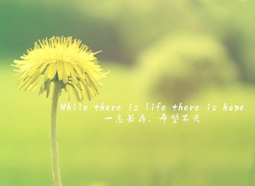 抖音正能量句子带图片,梦想让我与众不同!