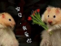 最经典的搞笑雷人句子，从头笑到尾！