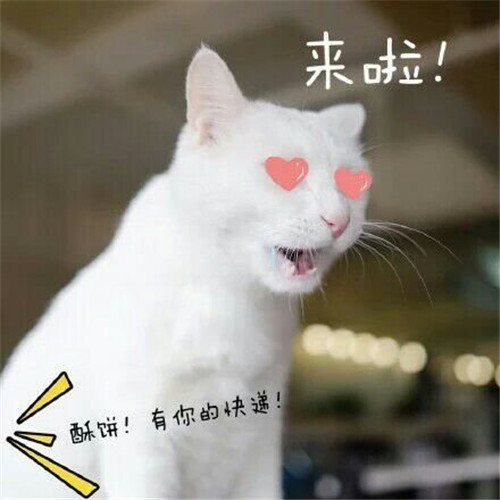 点赞超多的搞笑说说带图片,看了心情马上变好!