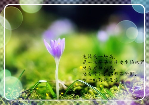 正处在恋爱中的爱情语录,句句走心!