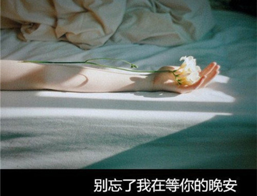 深夜想起爱的人的说说