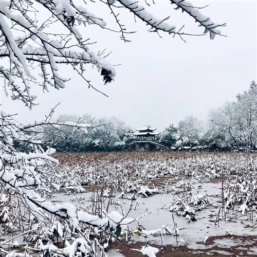 唯美的杭州西湖雪景图