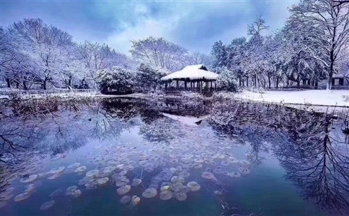 唯美的杭州西湖雪景图