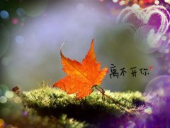脾气大的说说 动不动就发脾气的说说