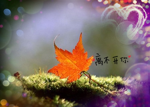 脾气大的说说