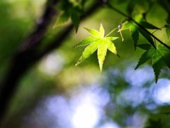 人到中年才醒悟的说说
