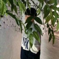 情侣头像一男一女2019最新版