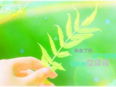 远嫁对父母愧疚的说说