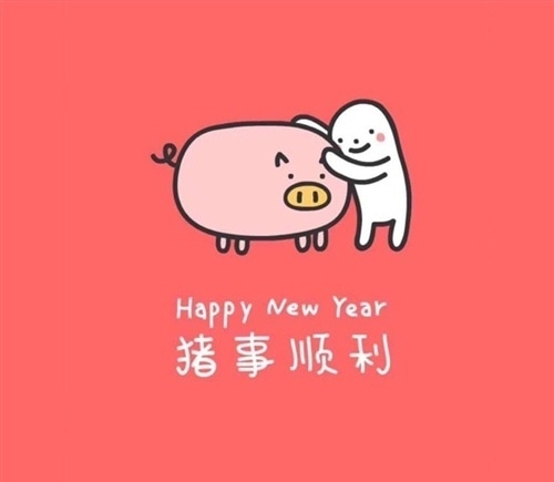 猪年本命年的说说 有关本命年的说说