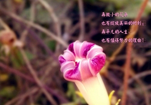 2019年朋友圈最新说说励志