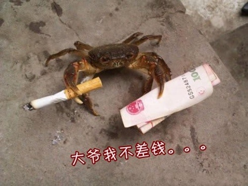 2019人生经典搞笑说说