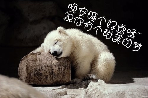 2019人生经典搞笑说说