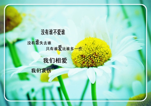 适合初中生摘抄的句子，句句真谛！