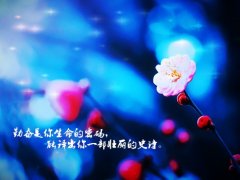 2020朋友圈励志语句,越努力越幸运!