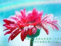 忍让不是懦弱的说说 一直的忍让的说说