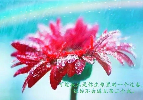 忍让不是懦弱的说说 一直的忍让的说说