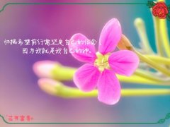 相信未来会更好的说说