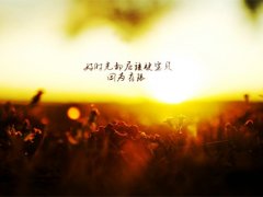 自己做错事愧疚的心情说说
