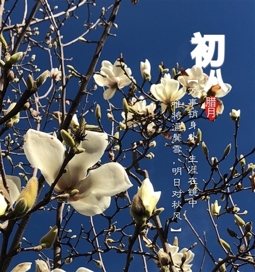 腊八节快乐的说说