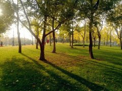 我想要安稳经典语录 渴望安稳的简单句子