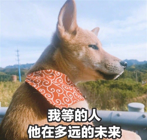 情人节单身狗的说说 单身狗情人节发的说说