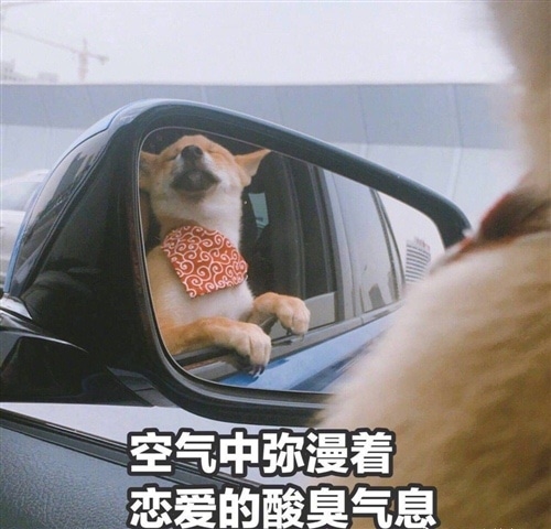 情人节单身狗的说说 单身狗情人节发的说说