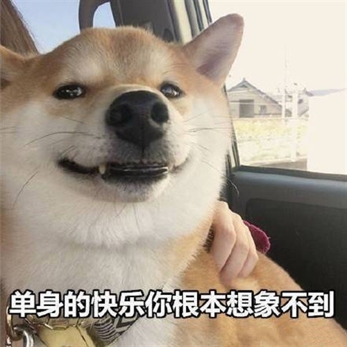 单身狗怼情人节的说说 情人节单身狗搞笑说说