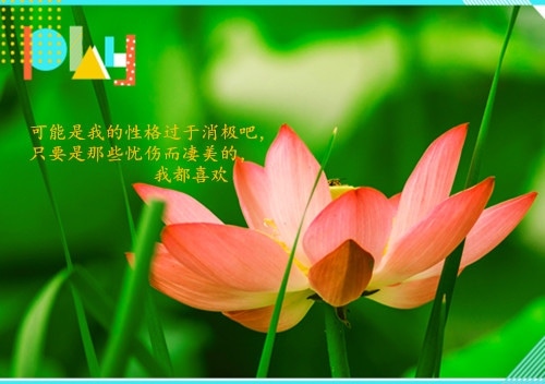 默默无闻付出的说说