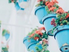 三八妇女节朋友圈说说 三八妇女节微信说说2020