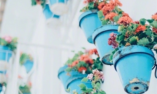 三八妇女节朋友圈说说 三八妇女节微信说说2019